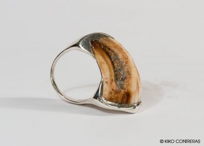 Sortija plata facoccero